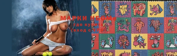 гидра Верея