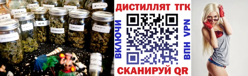 darknet какой сайт Гаврилов-Ям ТГК вейп с тгк где найти
