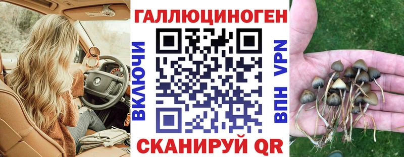Псилоцибиновые грибы Psilocybine cubensis  Гаврилов-Ям 
